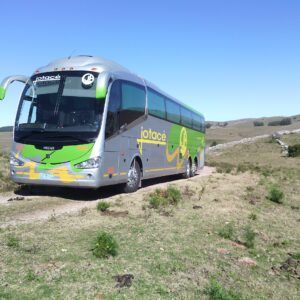 omnibus 533