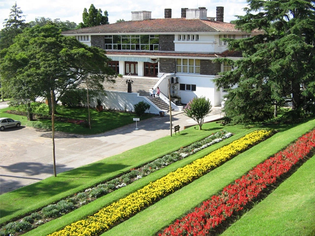 Gira la imagen en miniatura