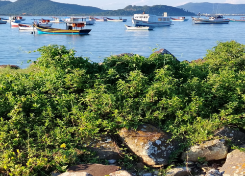 Florianópolis Aéreo con SKY – 8 días – Verano 2027