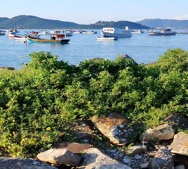 Florianópolis a la Carta – 8 días – Noviembre 2026
